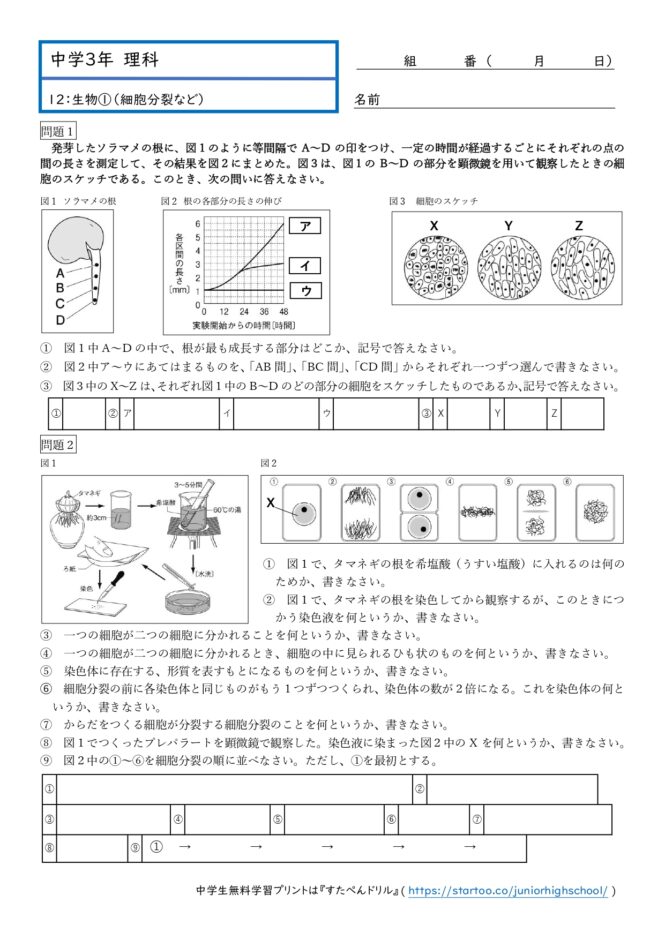 中3理科「細胞分裂・染色体」学習プリント無料ダウンロード・印刷